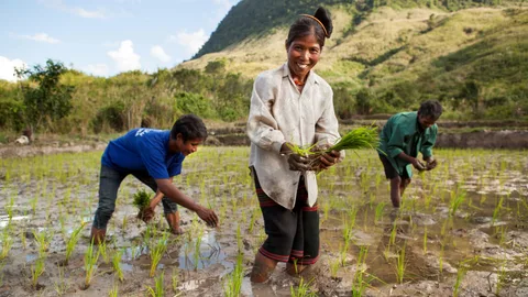 Boeren op één van de veldscholen in Laos.