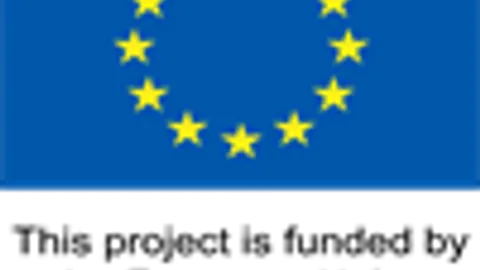 EU vlag