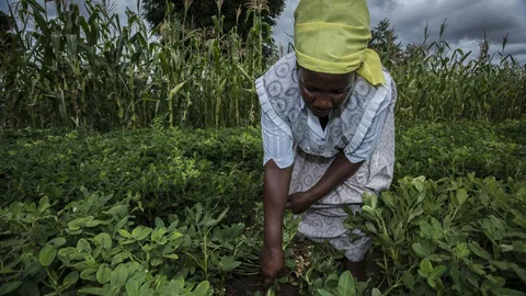 Boerin Marjory aan het werk op een akker.