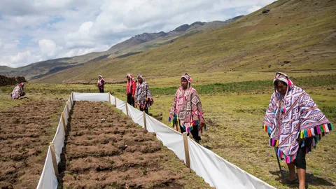 Boeren bij een aardappelveld.