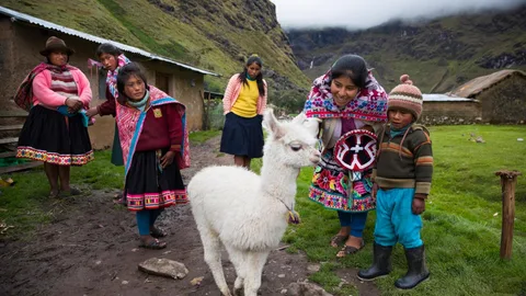 Maritza met een jonge alpaca.