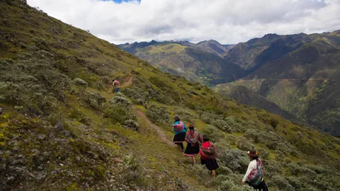 Quechua vrouwen wandelen langs de toppen van de Andes, op weg naar de aardappelvelden.