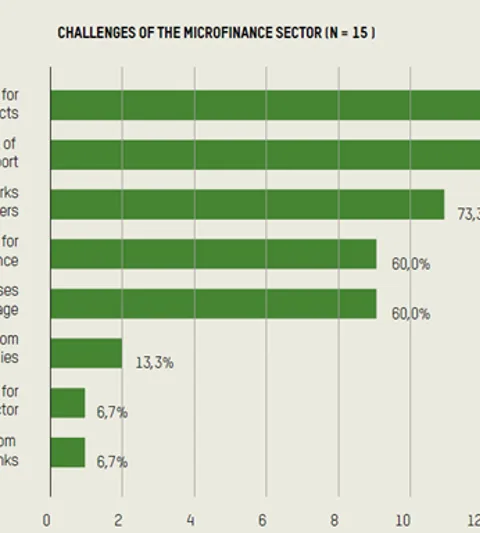 A graph showing challenges of the microfinance sector.