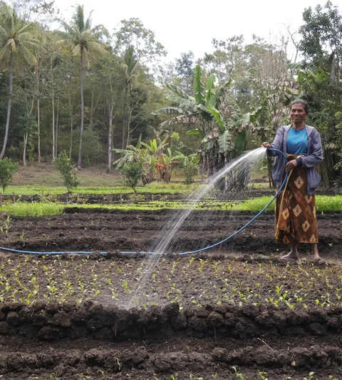 Mama Marta working her crops.