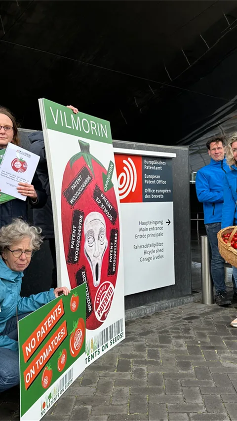 2025 - Nederland - Geen patenten op zaden demonstratie tomaat