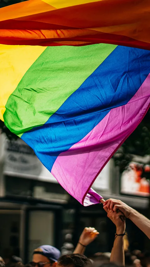 Grote regenboogvlag bij Pride
