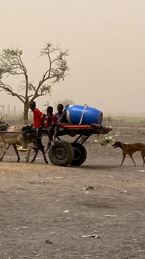 Drie kinderen op een kar met een ton die getrokken wordt door twee ezels. Een hond loopt erachter.
